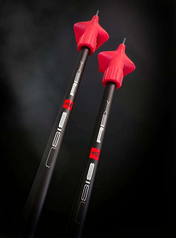 Sisu Pole - Image 10
